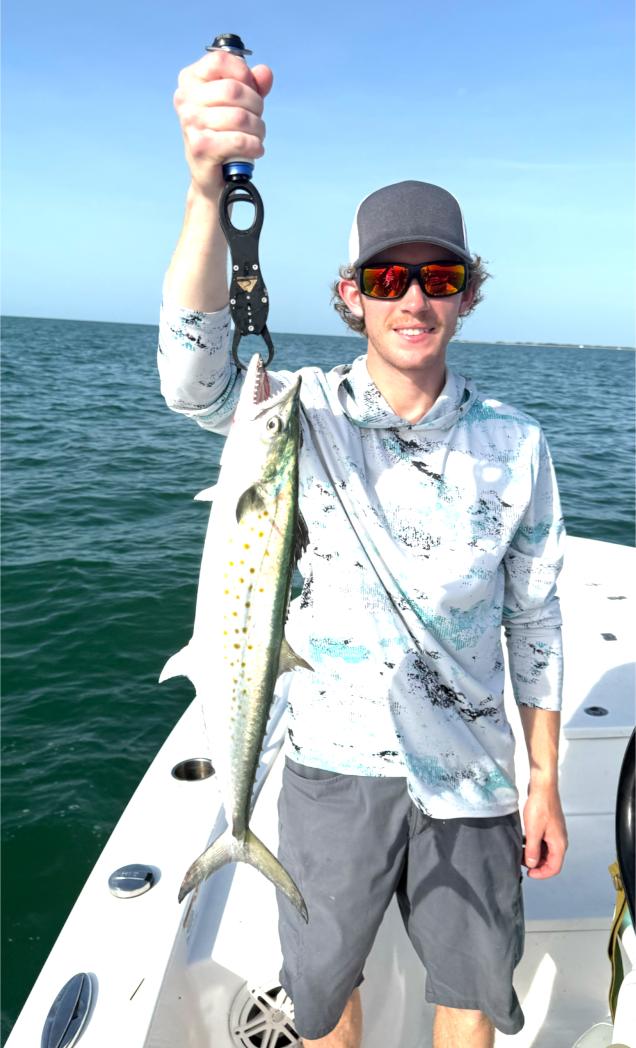 Kingfish